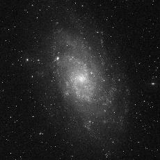 M33