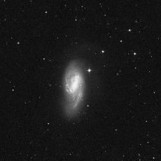 M66