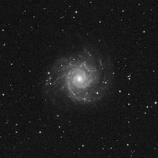 M74