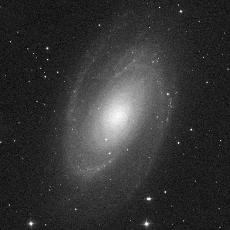 M81