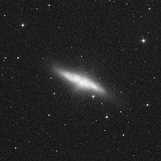 M82